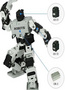 Illustration for article titled CES 2008: Comprehensive Robot Roundup